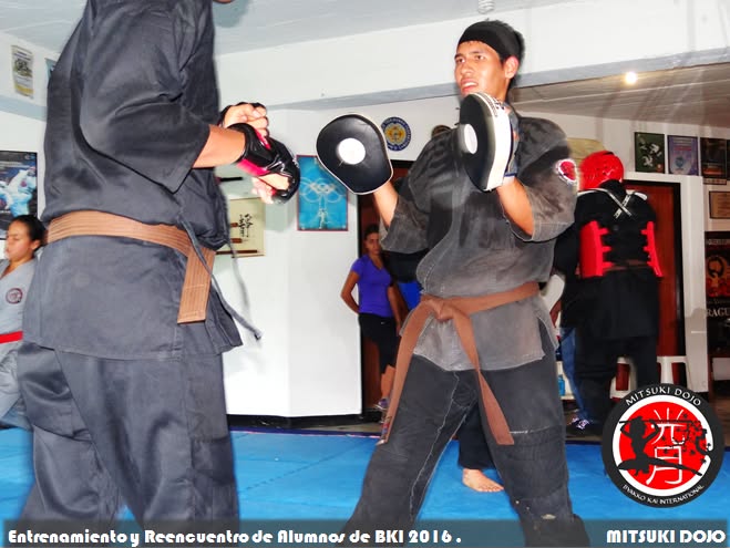 Foto de galería Mitsuki Dojo 2